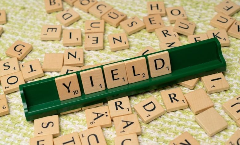 dividend yield for gmbh