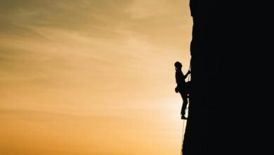 persistence in overcoming challenges