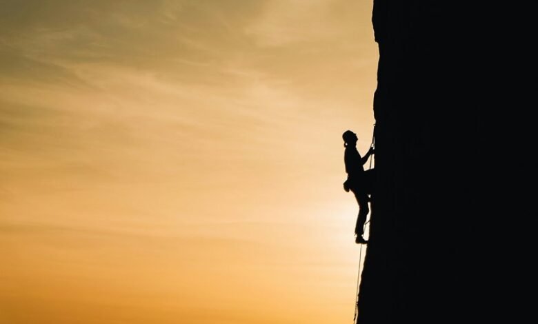 persistence in overcoming challenges