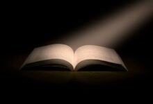 profile highlight feature