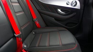 wyrkordehidom overview and safety