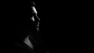 yizvazginno profile insights summary