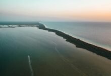 zixyurevay safety concerns explained