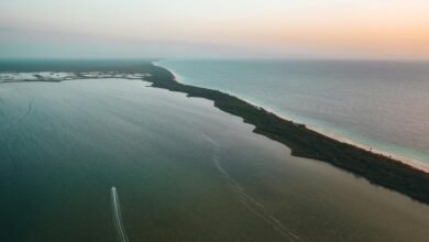 zixyurevay safety concerns explained