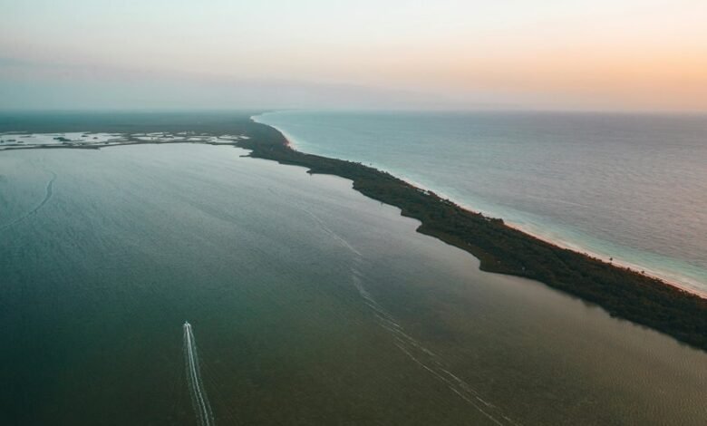 zixyurevay safety concerns explained