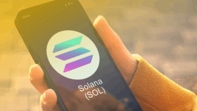 Solana Live Price Explained: A Complete Beginner’s Guide to Tracking SOL in Real Time