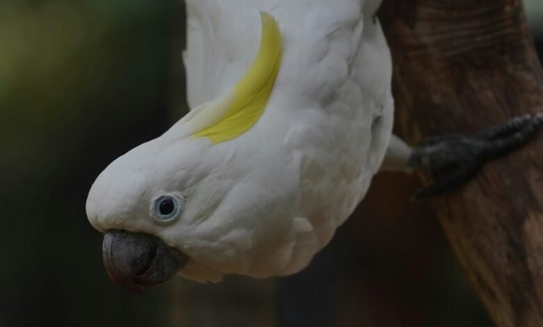 enterprise intelligence data overview