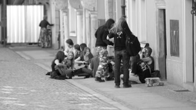 music download website hub