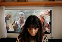 watch movies and shows