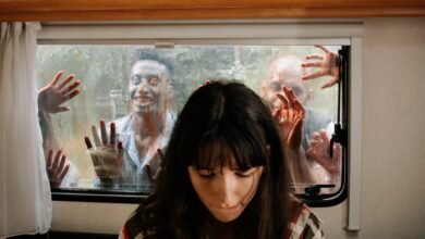 watch movies and shows