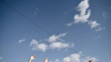 audience growth strategy analysis