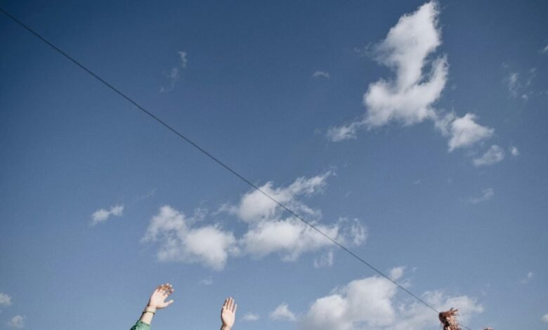 audience growth strategy analysis