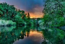 brand visibility enhancement strategy