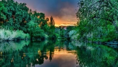 brand visibility enhancement strategy