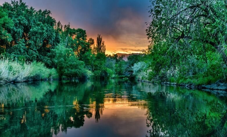 brand visibility enhancement strategy