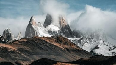 conversion optimization strategy roi