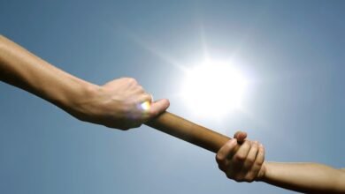 digital momentum success channel