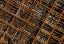 growth through audience engagement