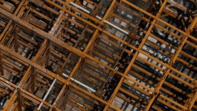 growth through audience engagement