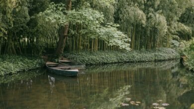 monetization through engagement revenue