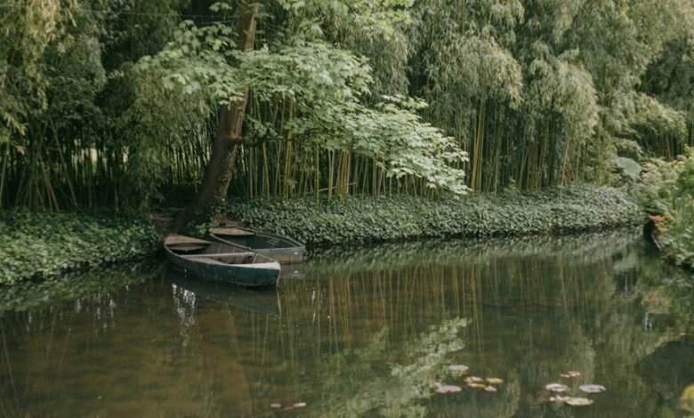 monetization through engagement revenue