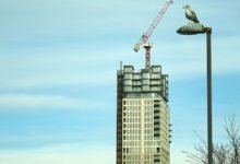 online growth expansion strategy