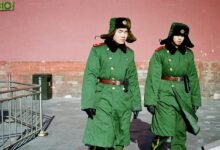 online presence strategy guide