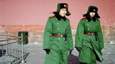 online presence strategy guide