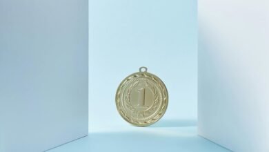 search rankings performance logic