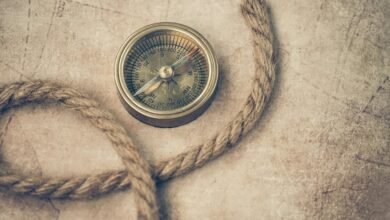 smart expansion digital market