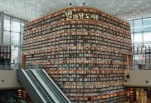 korean baseball stadium guidebook beginner