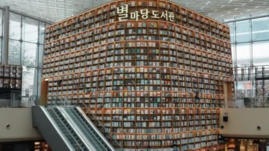 korean baseball stadium guidebook beginner