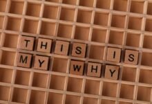learn about 4159190943 reasons